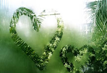 乒乓球直播间(5)在线直播有哪些亮点值得关注？